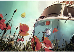 The Wall Tablou canvas The Wall Camper 80x116 cm (53793)