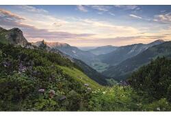 Komar Fototapet vlies Komar SHX9-059 Allgäu Alps 450x280 cm (SHX9-059)