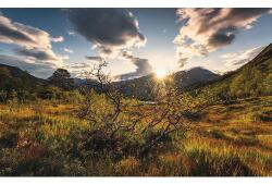 Komar Fototapet vlies Komar SHX9-060 Norway World 450x280 cm (SHX9-060)