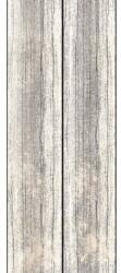 Komar Fototapet vlies Komar 6038A-VD1 Rose Panel 100x250 cm (6038A-VD1)