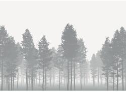 Komar Fototapet vlies Komar X7-1021 Nebula 350x250 cm (X7-1021)