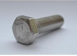  Hatlapfejű tövigmenetes csavar A4 Saválló M20x50