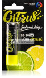 Regina Citrus Lip Balm, 4g
