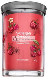 Yankee Candle Tumbler Red Raspberry 567 g