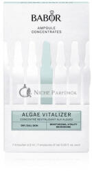 BABOR Ampoule Concentrates Algae Vitalizer - Új és Fejlettebb