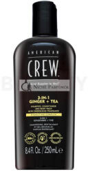 American Crew 3-in-1 Ginger + Tea sampon, kondicioná ló é s tusfü rdő 250 ml