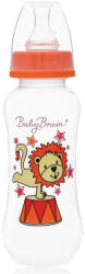 Baby Bruin 240 ml PP c. üveg karcsúsított narancs