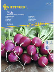 kiepenkerl Semințe legume Kiepenkerl ridichi Viola (54530)