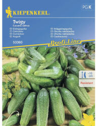kiepenkerl Semințe legume Kiepenkerl castraveți pentru murat Twigy F1 (53360)