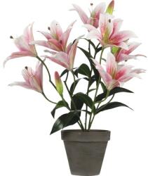 Mica Plantă artificială Crin Tiger MICA H 47 cm roz (1079764)