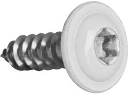 Dresselhaus Șuruburi pentru tablă cu cap semibombat Torx Dresselhaus 4, 8x19 mm oțel inox A2 alb, 100 bucăți (0/4635/701/4,8X19/51)