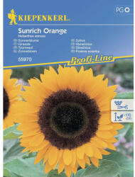 kiepenkerl Semințe flori Kiepenkerl floarea soarelui portocalie Sunrich F1 (55970)
