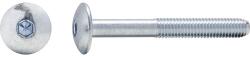 Dresselhaus Șuruburi metrice cu cap semibombat și hexagon interior Dresselhaus 6x40 mm DIN7380-1 oțel zincat, 100 bucăți (0/7410/001/6,0x40/17)