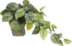 Mica Plantă artificială Scindapsus MICA H 44 cm (1116843)