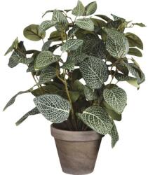 Mica Plantă artificială în ghiveci Fittonia H 35 cm verde (966059)