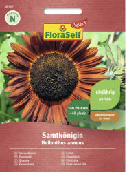FloraSelf Select Semințe flori FloraSelf Select floarea soarelui Samtkonigin (28120)