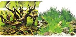ORBIT Fundal acvariu Orbit motiv 10 100x40 cm (75201)