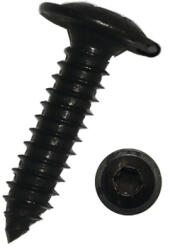 Dresselhaus Șuruburi pentru tablă cu cap semibombat Torx Dresselhaus 4, 8x19 mm oțel inox A2 negru, 100 bucăți (0/4635/051/4,8X19/51)