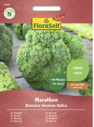 FloraSelf Select Semințe legume FloraSelf Select broccoli Marathon F1 (24340)