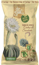 Dr. Soil Substrat pentru cactuși și suculente Dr. Soil 1 l (DRS003RO)