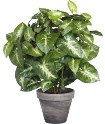 Mica Plantă artificială Syngonium H 35 cm verde (966057)