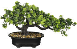 Mica Bonsai artificial în ghiveci MICA H 21 cm verde aspect suculente (1128797)