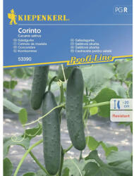 kiepenkerl Semințe legume Kiepenkerl castraveți de salată Corinto F1 (53390)