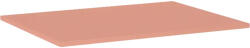Jungborn Blat lavoar baie marmură compactă Terra Pink 60, 6x46 cm Jungborn (168814)
