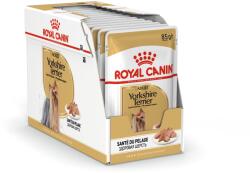 Royal Canin fajta Mini Yorkshire 12 x 85g