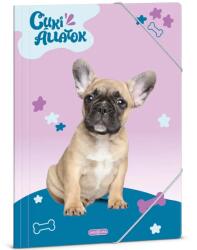Ars Una Ars Una: Cuki Állatok - Francia bulldog A/4 gumis dosszié (50214266)
