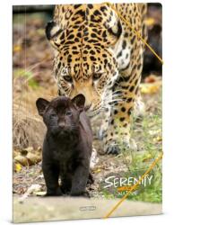 Ars Una Ars Una: Serenity - Jaguár A/4 gumis dosszié (50213344)