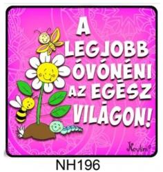  Hűtőmágnes - A legjobb óvónéni lila - Ajándék ötlet Óvónéninek (NH196)