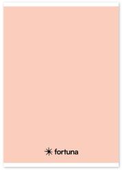 Fortuna Füzet vonalas FORTUNA Monocolor A/5 32 lapos 21-32 pasztell barack (01.02087) - tonerpiac