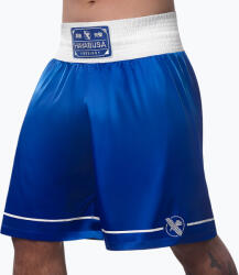 Hayabusa Pantaloni scurți de antrenament Hayabusa Pro Boxing blue