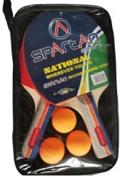 SPARTAN Set 2 palete+ 3 mingi Beginner Spartan (310SP)
