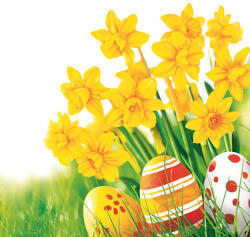 POL-MAK Húsvét Bunch of Daffodils szalvéta 20 db-os 25x25 cm (PKK759894)