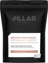 Amix Nutrition Creatine Monohydrate - Performance Capacity Pouch Creatin eu-cmpc300p-p Méret OS eu-cmpc300p-p