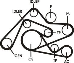 Continental Ctam Set curea transmisie cu caneluri CONTINENTAL CTAM 6PK2404D1 (6PK2404D1) - automobilus