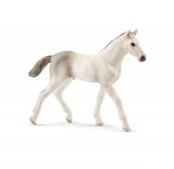 Schleich holstein csikó figura