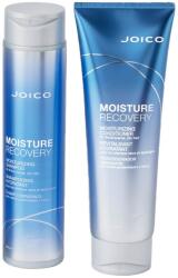 Joico csomag, vastag, durva haj hidratálására: Moisture Recovery sampon, 300 ml + Moisture Recovery balzsam, 250 ml