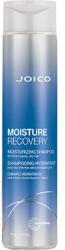 Joico Moisture Recovery sampon, 300ml (074469513951)