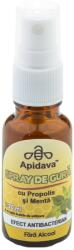 Apidava Cosmetic Line szájvíz spray, propolisszal és mentával, 20 ml