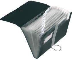 Herlitz pp mappa, A4, 12 rekeszes, fekete