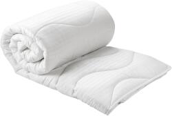 Green Future Hotel Line Paplan, Steppelt mikroszál, 220x200cm, 250g/mp, Közepesen meleg