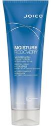 Joico Moisture regeneráló hajbalzsam, 250ml (074469513906)