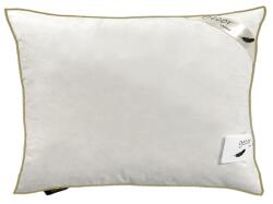 Gecor Gold Gecor libapehely és tollpárna, 50x70x18 cm, 70% libatoll, 30% libatoll, 100% pamut