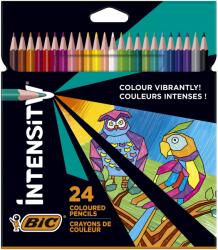 BIC Intensity színes ceruzák, Ultra ellenálló grafittal, 24 darabos csomag (950528)