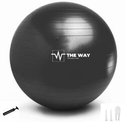 THEWAY Minge fitness ANTI BURST, pompa inclusa, 55 cm, negru, TheWay Fitness Minge fitness