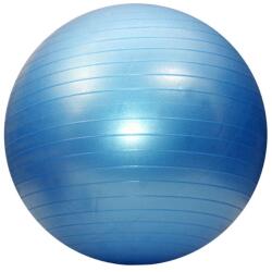 Dayu Fitness Minge de aerobic pentru sala 65cm DY-GB-070-65 Minge fitness