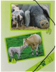 PAGNA A4 PP farmon élő állatok gumismappa (P2161215) - bestbyte